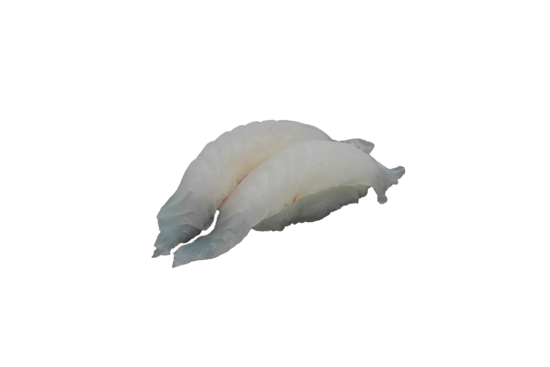 SUSHI DAURADE
