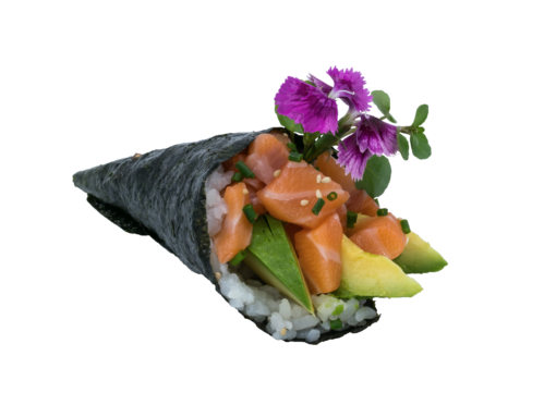 TÉMAKI SAUMON AVOCAT