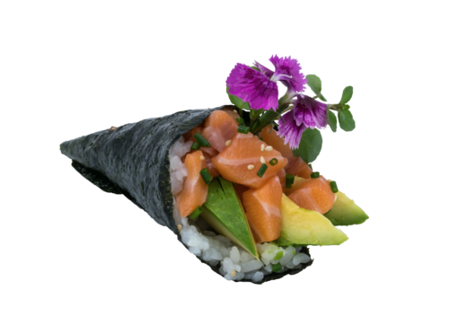 TÉMAKI SAUMON AVOCAT