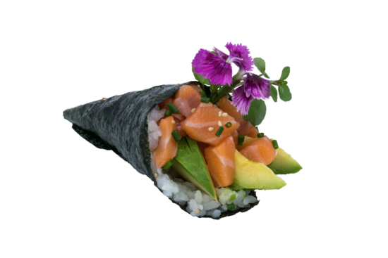 TÉMAKI SAUMON AVOCAT